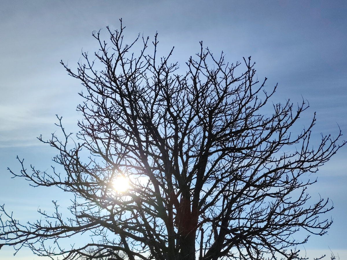 И солнце ярчайшее. Но холодно...