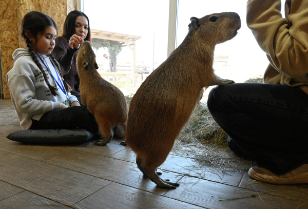 Фото: РИА Новости/Виталий Аньков