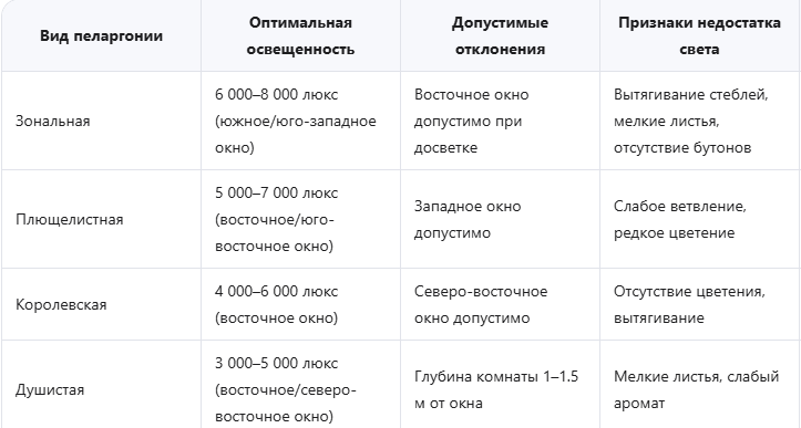 Идеальное освещение для разных видов пеларгонии