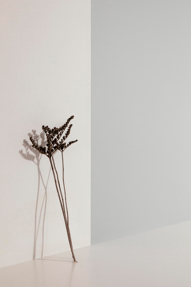 Designed by Freepik