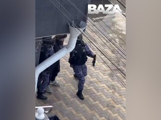    Фото: телеграм-канал Baza