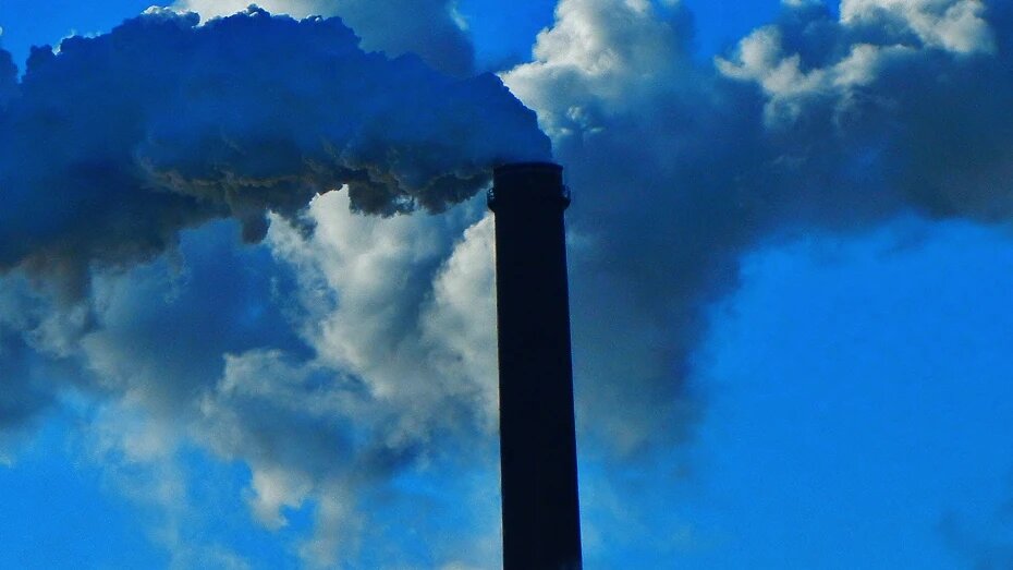    Автор фото: pxhere.com