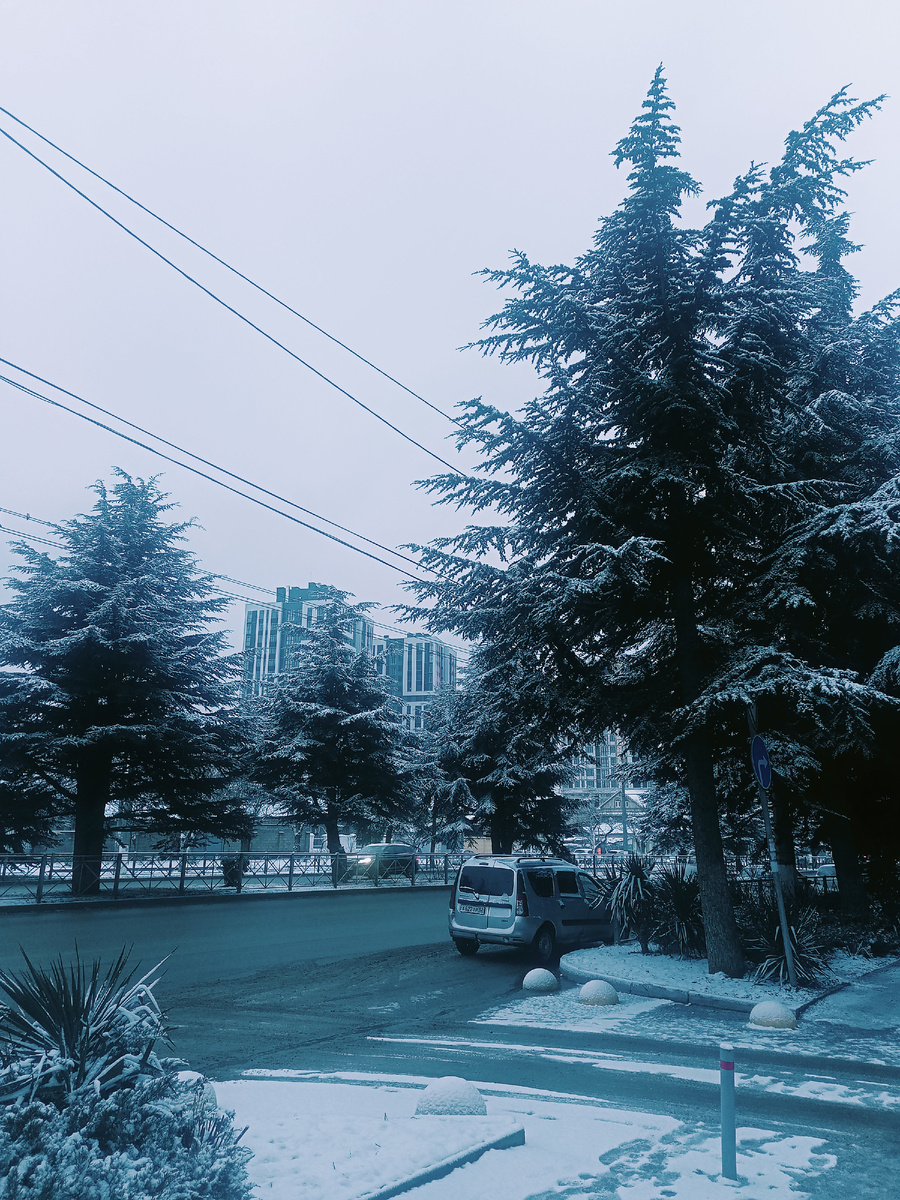 Фото автора. Не типичный зимний пейзаж в Крыму :))