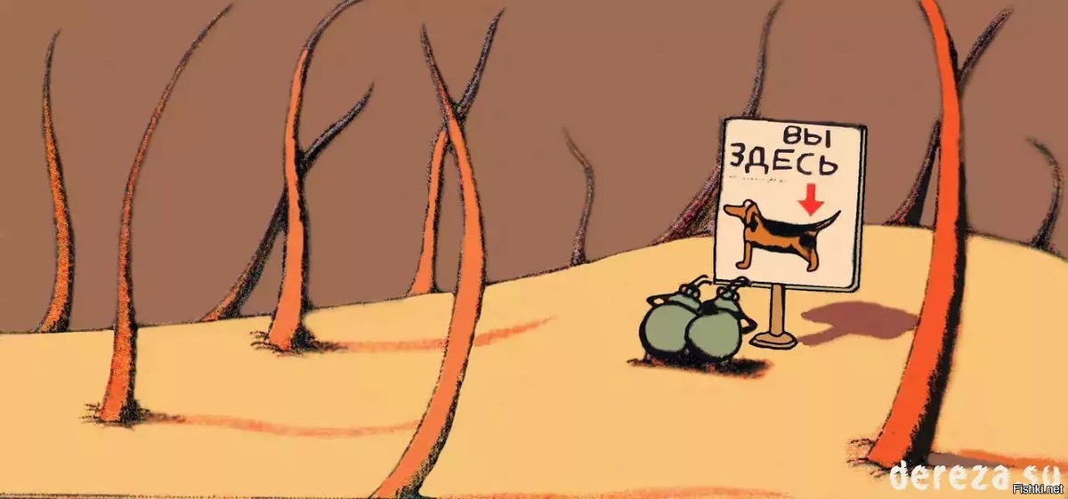 10 Интересных фактов о блохах