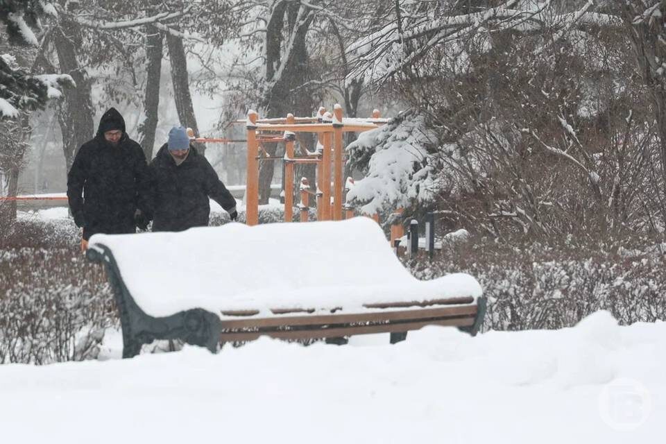    Фото: Дмитрий Рогулин / "Городские вести"