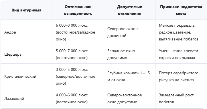 Идеальное освещение для разных видов антуриума