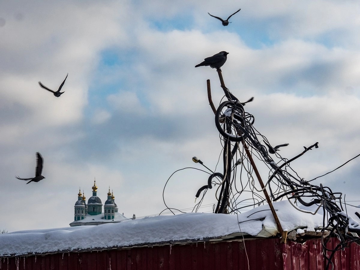   Фото: Александр Губарев Юра Белый