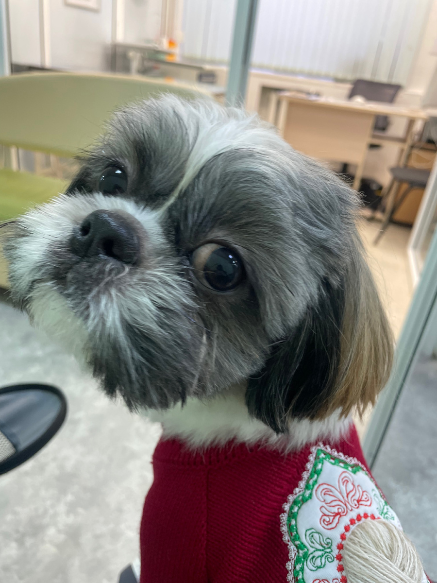 В ветклинике.