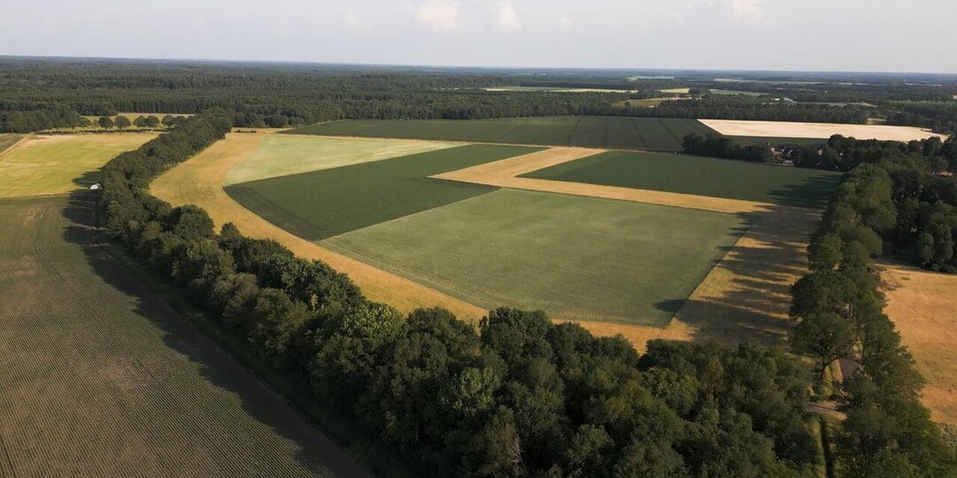 Белорусам рассказали, какие земли не отдадут в частную собственность – вот список