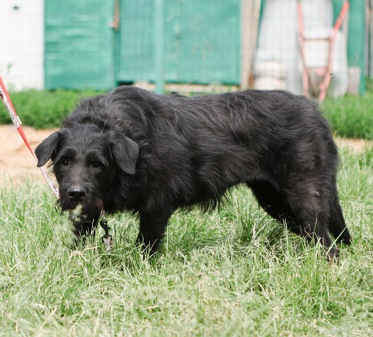 Его б энергию - да в мирное русло