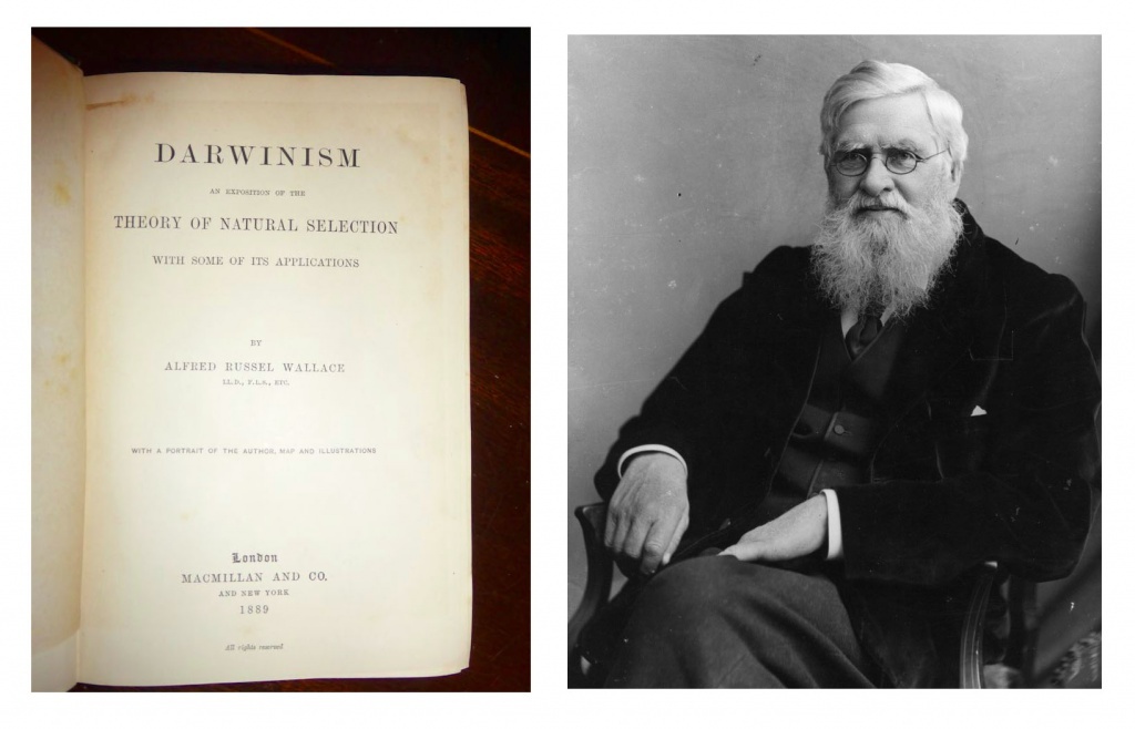 Альфред Рассел Уоллес и его книга «Дарвинизм» (1889)