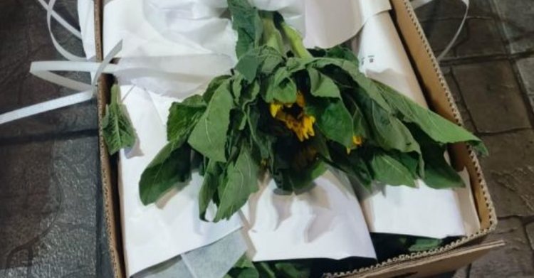    Фото: Приморское межрегиональное управление Россельхознадзора