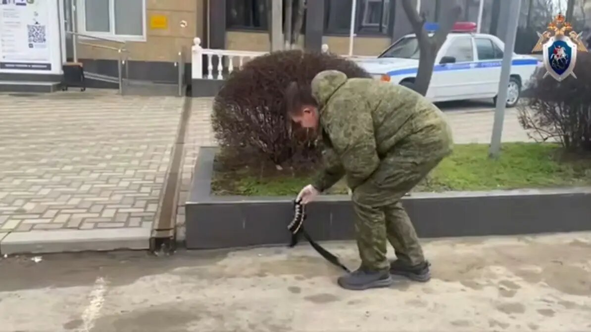    Фото: vm.ru Виктория Николаева