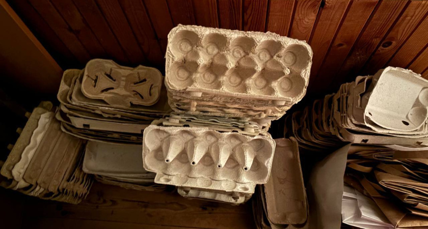    Фото newtambov.ru