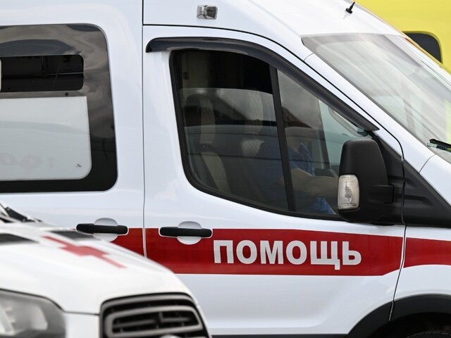    Фото: РИА Новости/Пелагия Тихонова