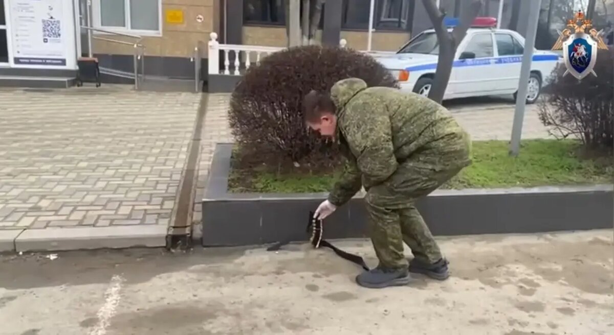    Фото: скриншот из видео пресс-службы СК РФ.