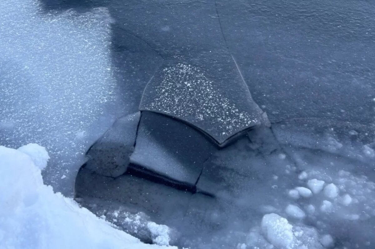    Волжским педагогам показали, как спасать провалившихся под лёд — видео