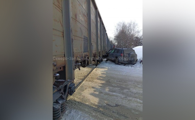    © Пресс-служба Северо-Западной транспортной прокуратуры