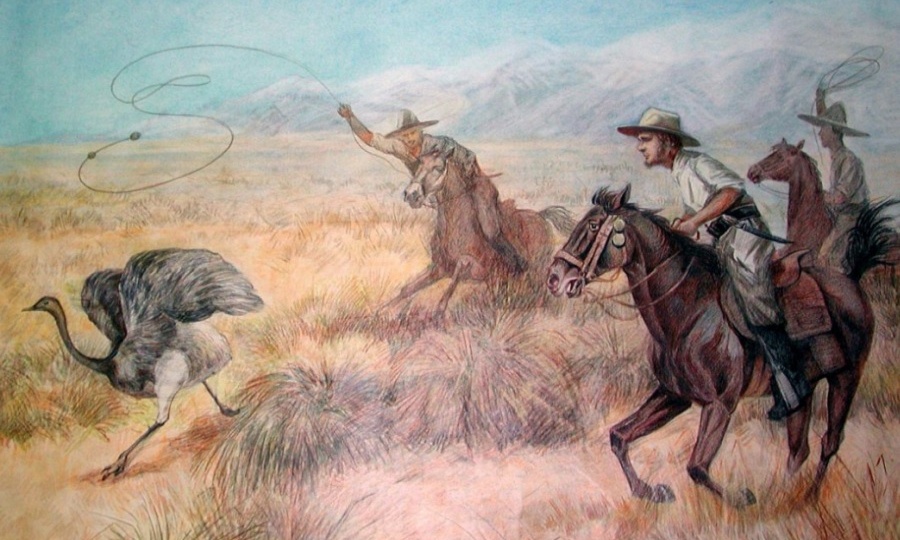 Персональная эволюция Чарлза Дарвина