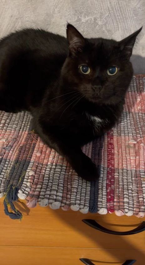 Имя Блэк мне нравится, и кажется, подходит идеально