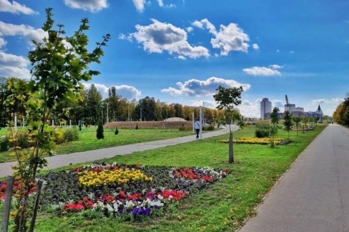    В Тольятти определили фаворитов среди пространств для благоустройства