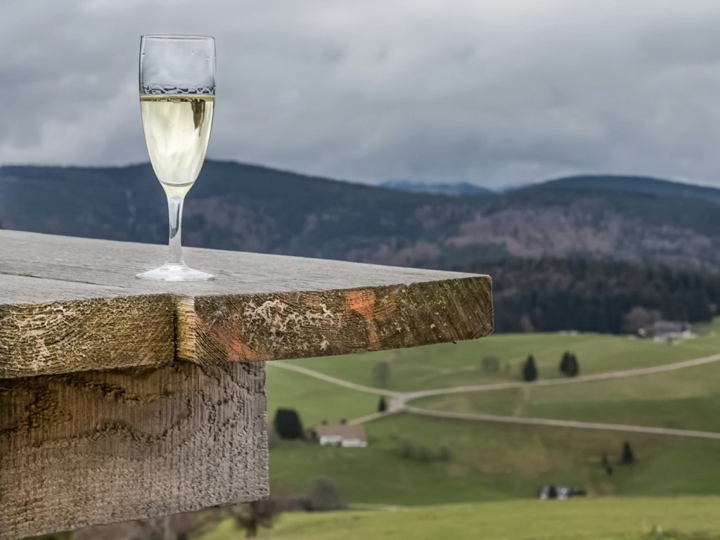 Исследуем все стили: сухой Эльзасский, игристое Москато д’Асти, креплёные десертные вина.