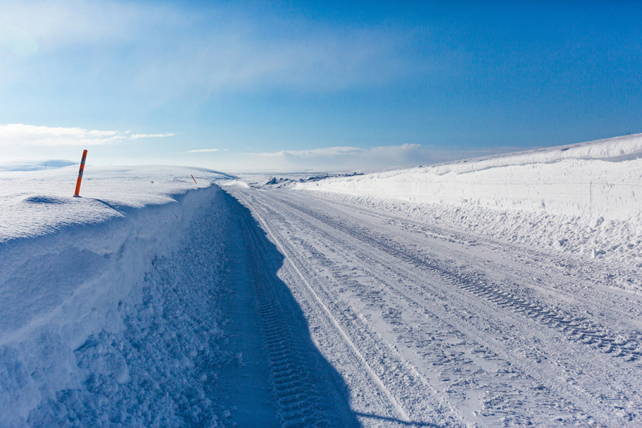    Shutterstock/FOTODOM