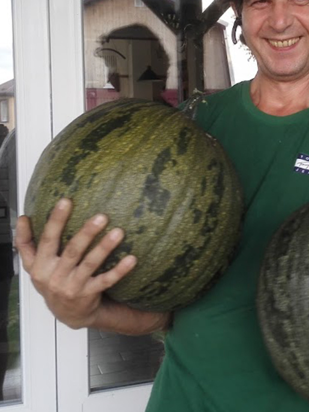 вот такие тыковки у нас выросли прошлям летом