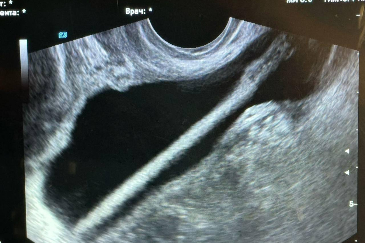    Фото: Минздрав Московской области, источник: mz.mosreg.ru