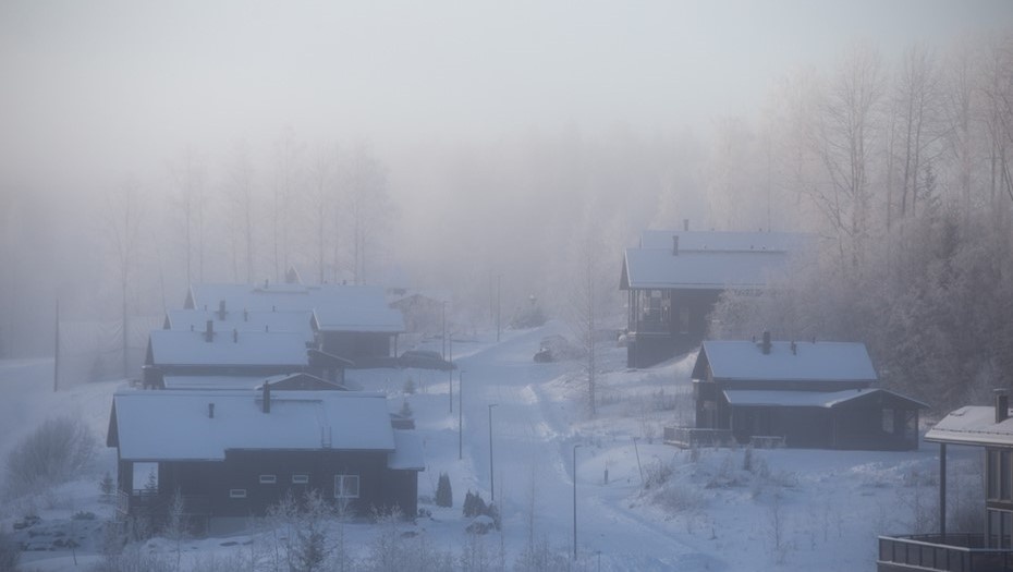 Автор фото: Jukka Karvinen / Shutterstock / FOTODOM