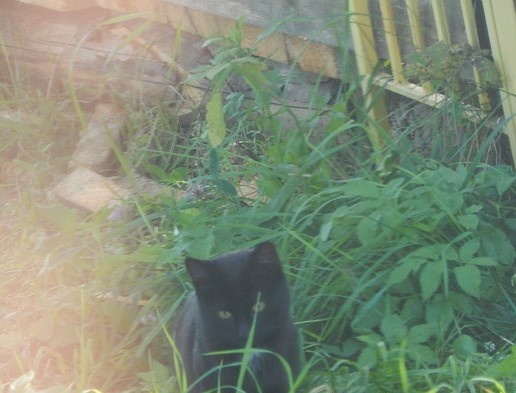 Фотография автора