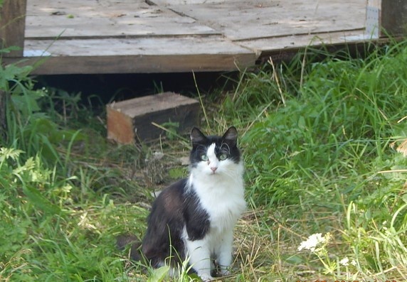 Фотография автора