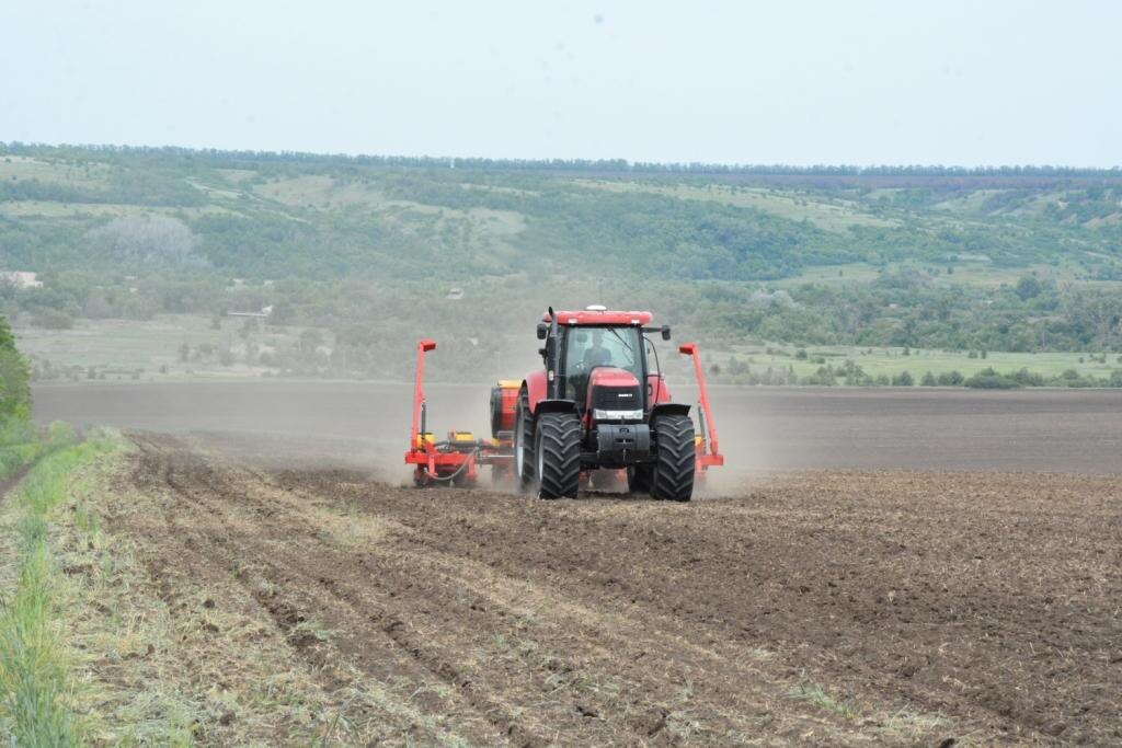    Фото: Е. Антонова. Газета "Земля"