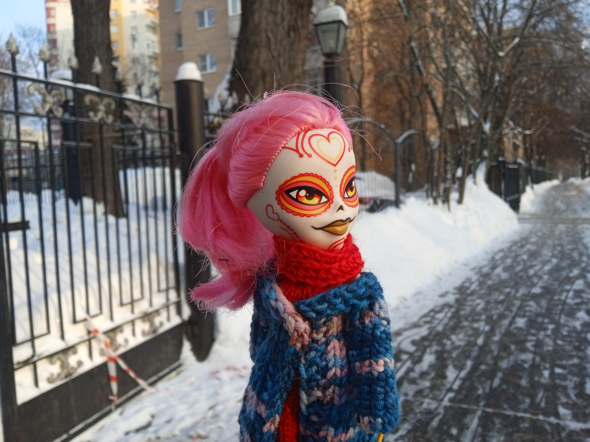 1. Катринас-Пинки из моей коллекции. Фотографии авторские 25 января 2026.