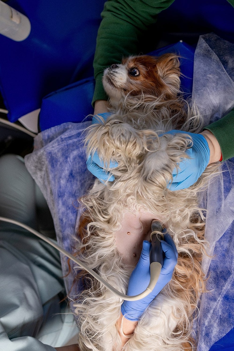 Создать карусель