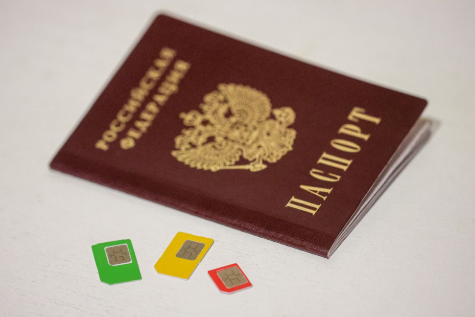    Наталья Шатохина/NEWS.ru