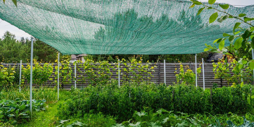 Чтобы хвойные не горели, а грядки не перегревались: все о притеночной сетке