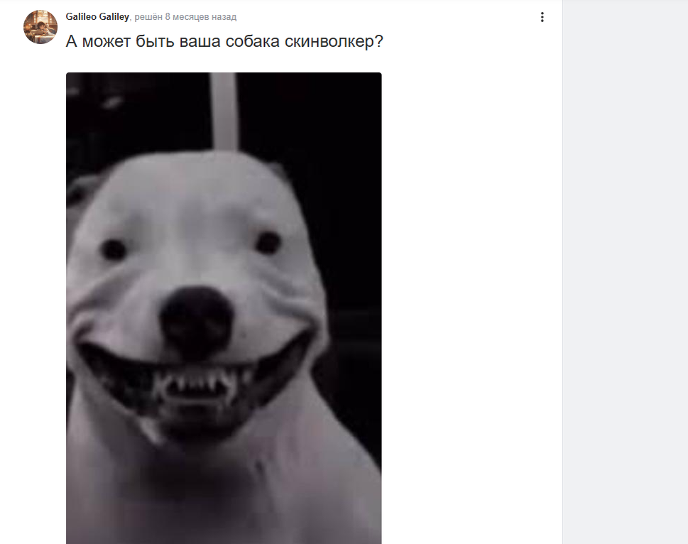    Galileo Galiley/Ответы.Mail