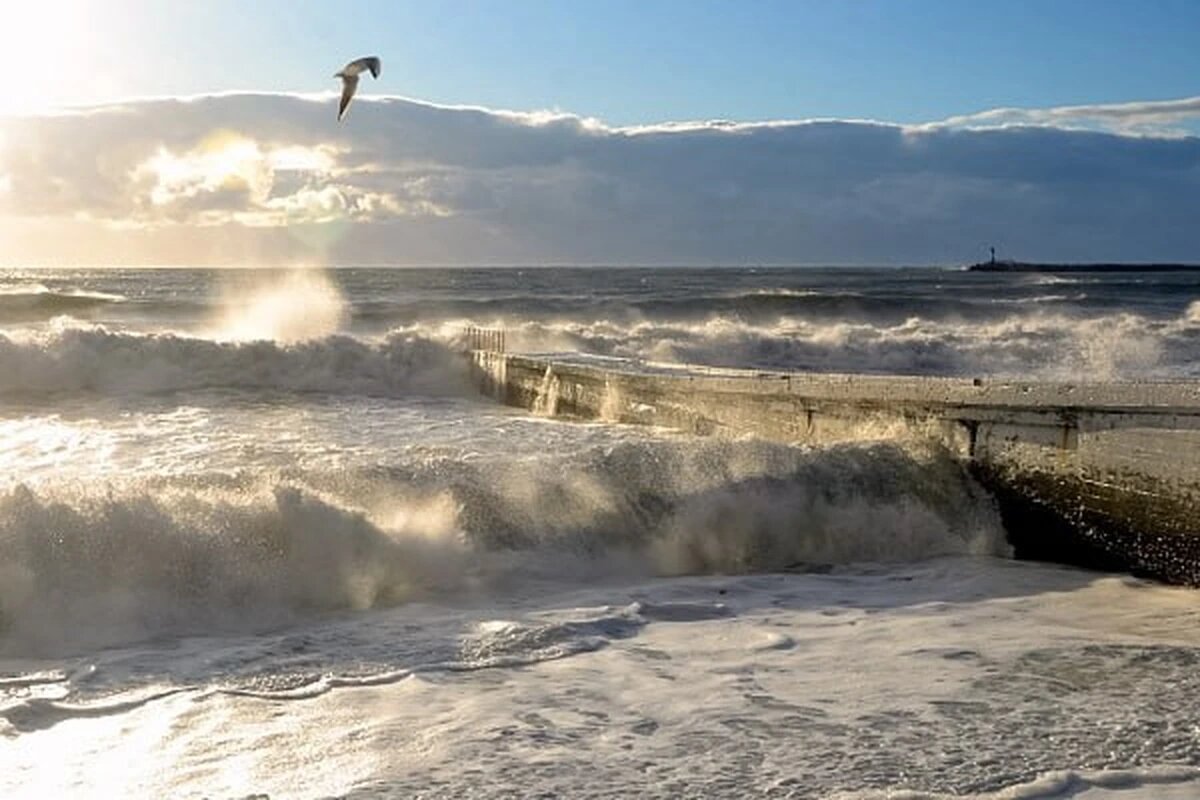    Фото пресс-службы администрации Сочи