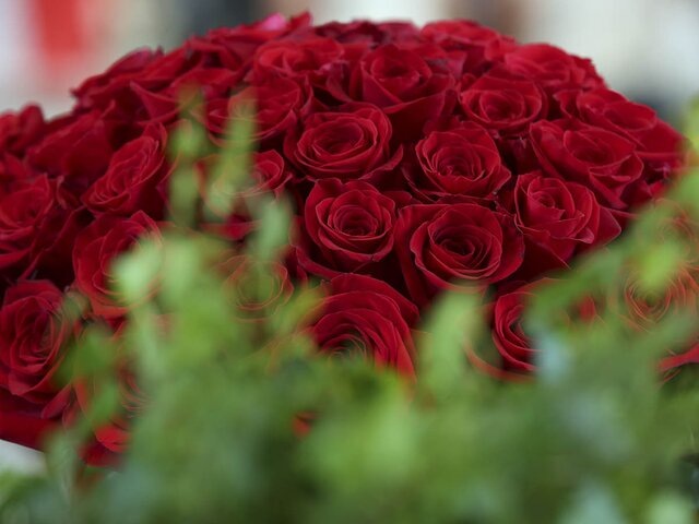    Фото: портал мэра и правительства Москвы