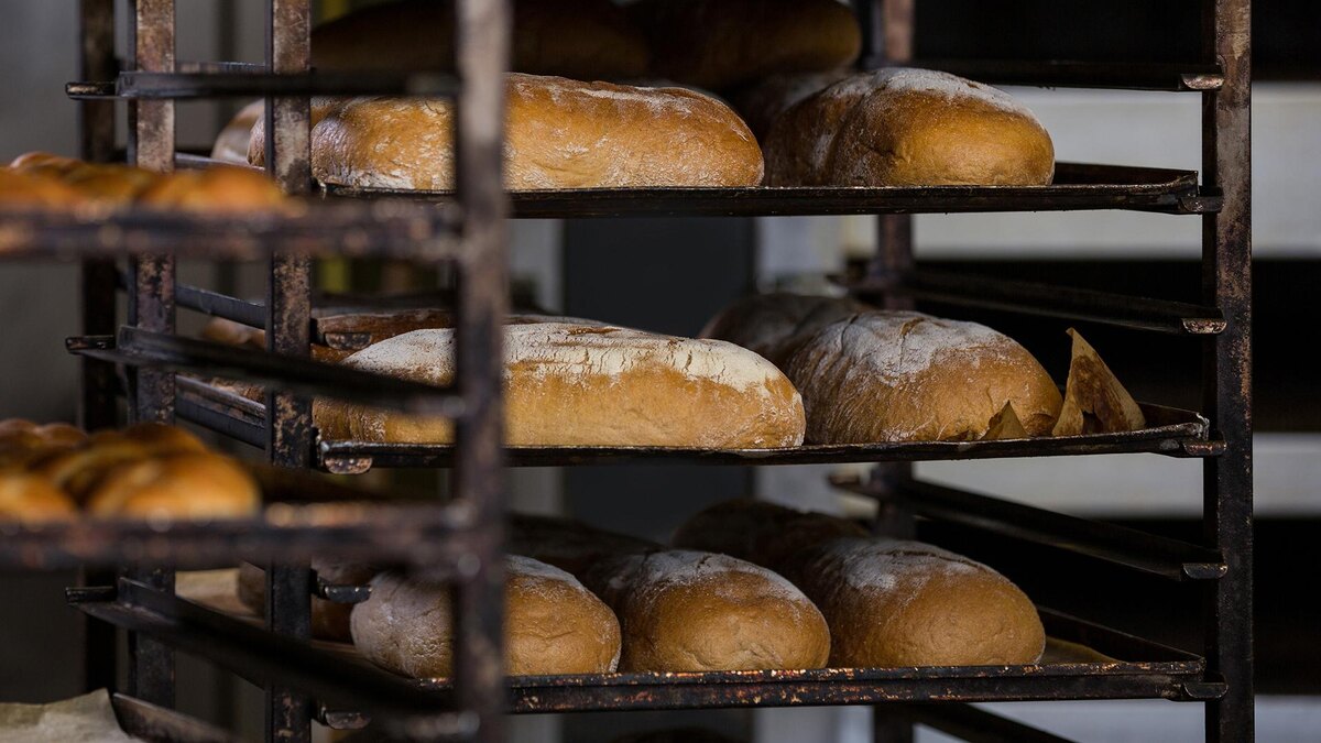 Фото: freepik.com/peoplecreations