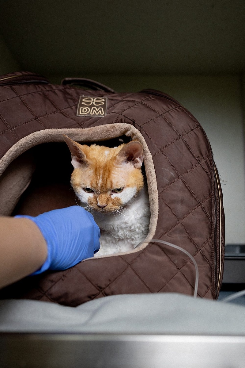 Создать карусель