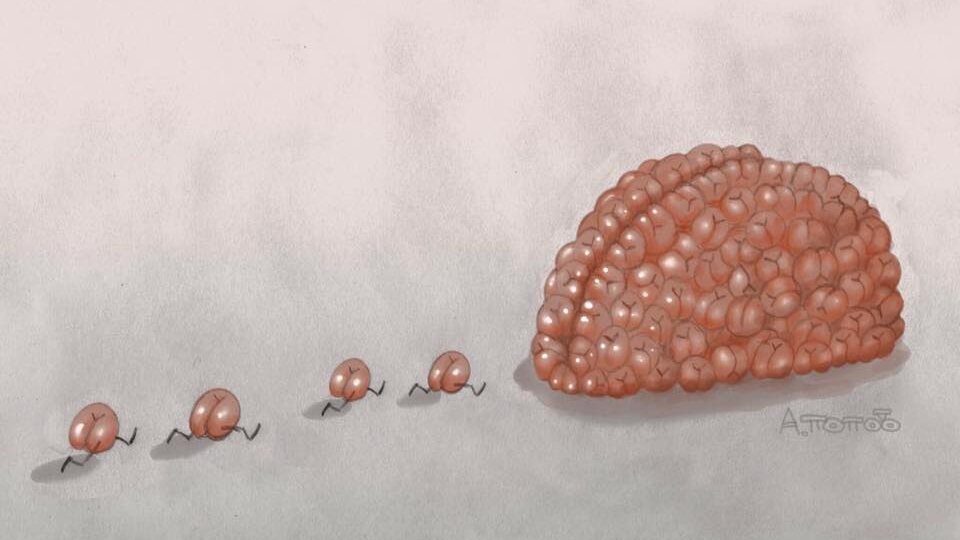 Наш век, запутанный и странный, я описал бы в двух словах: исчезли с кухонь тараканы, устроив гнёзда в головах!