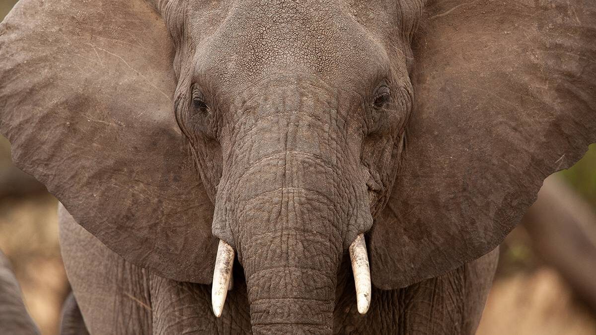    Фото: Shutterstock