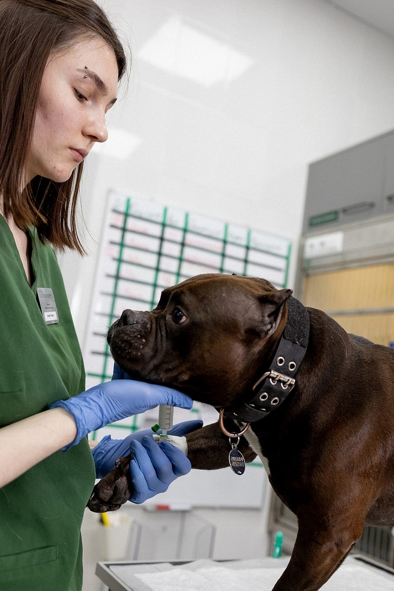 Создать карусель