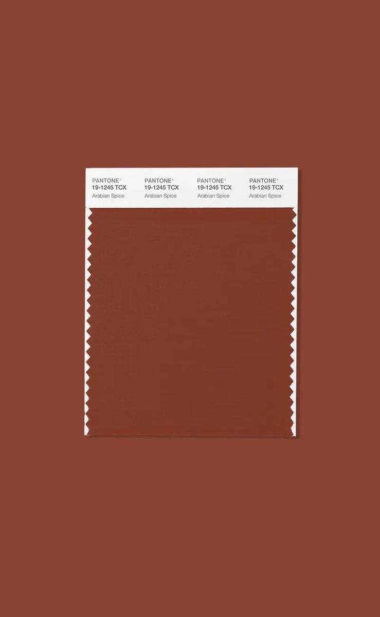    Pantone предсказал цвета сезона осень-зима 2026 на Неделе моды в Нью-Йорке (фото 2)