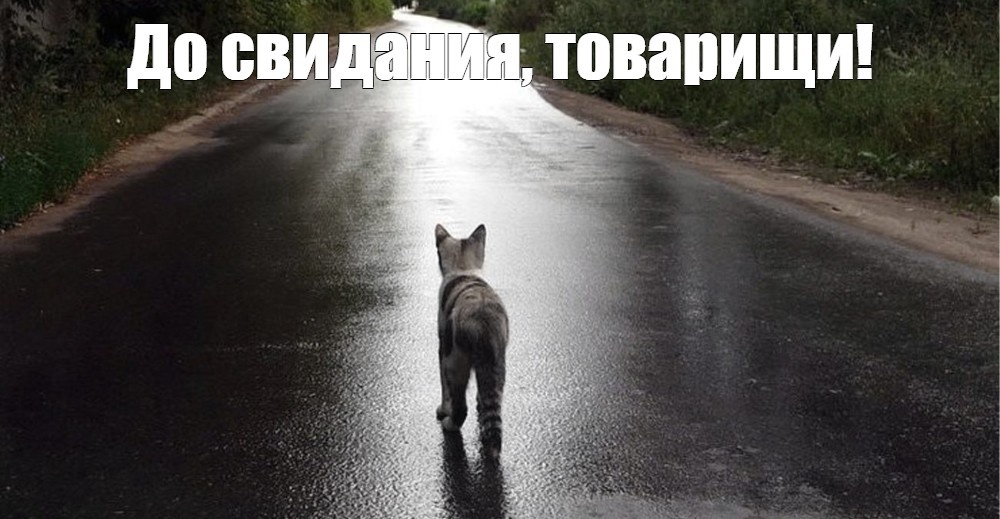 источник Яндекс-картинки