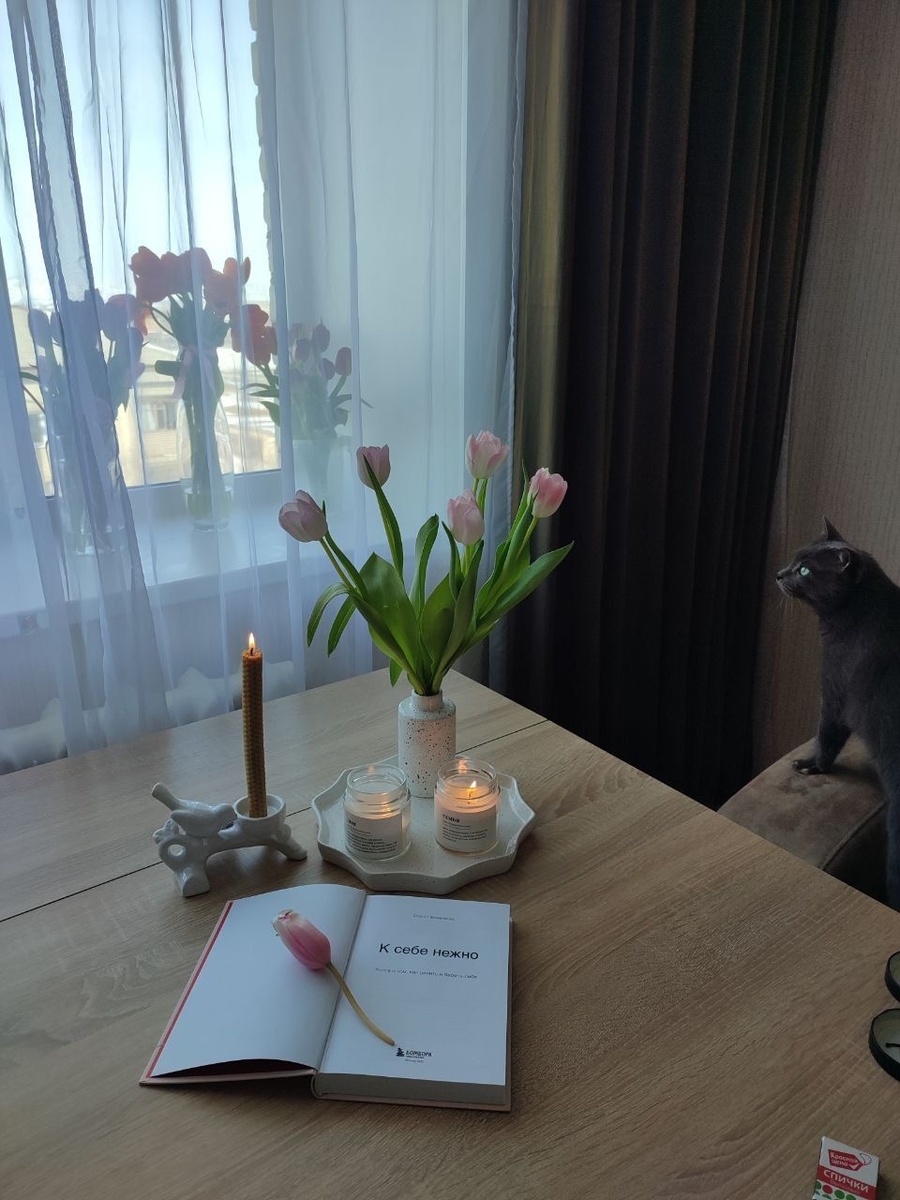 Мой кот Филя, цветы и книга ♥️