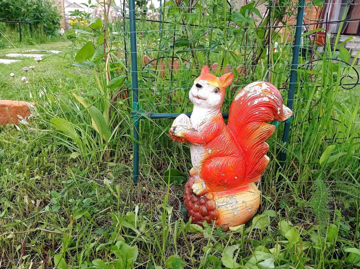 Белочка уже теряет свой вид