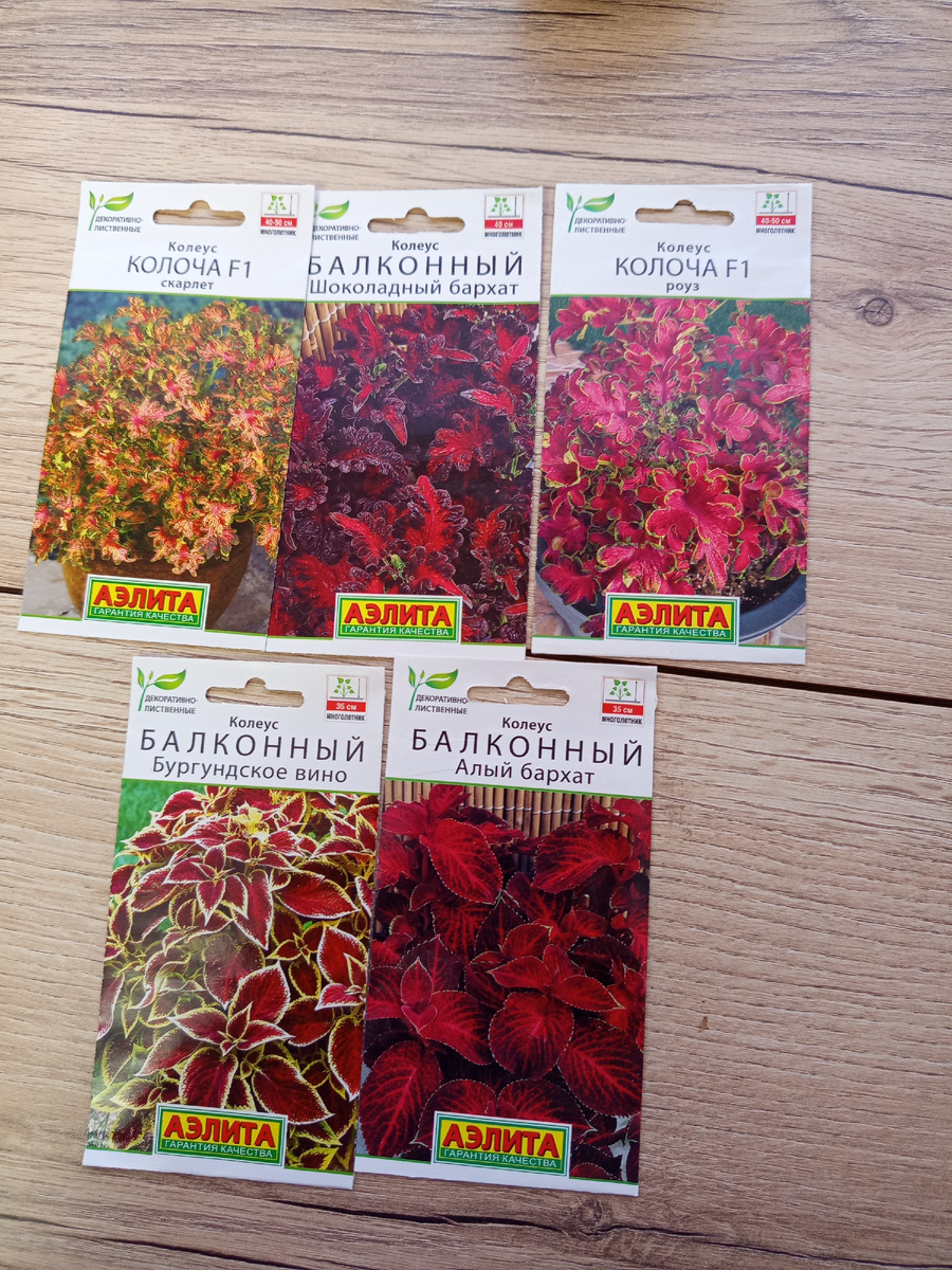 Добавим яркого в цветник